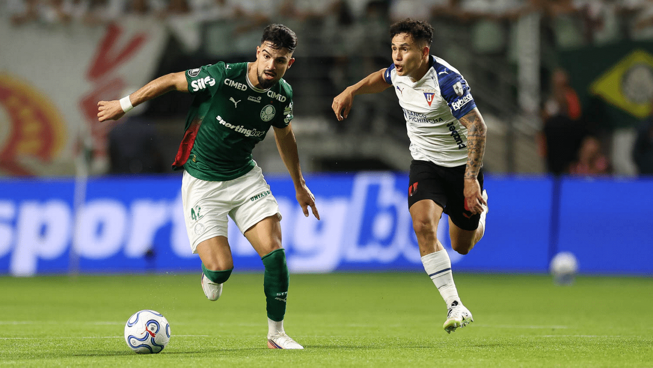 palmeiras ldu